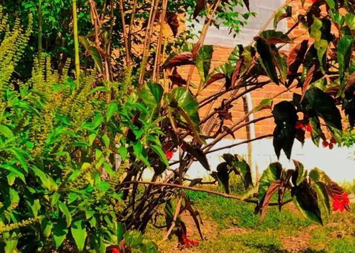 Luma - Casa De Hospedaria
