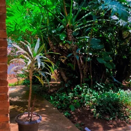 Luma - Casa De Hospedaria Sao Roque  Exterior photo