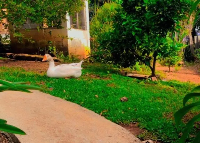 Luma - Casa De Hospedaria