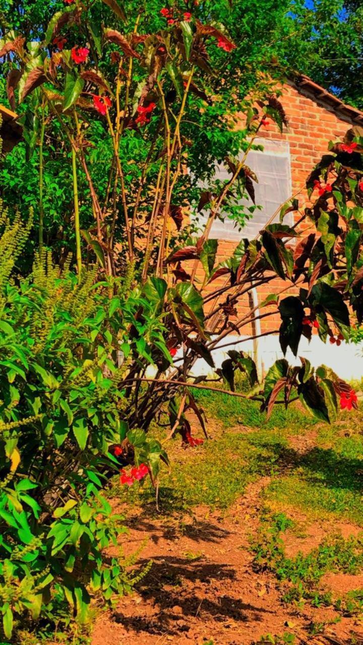 Luma - Casa De Holiday home *