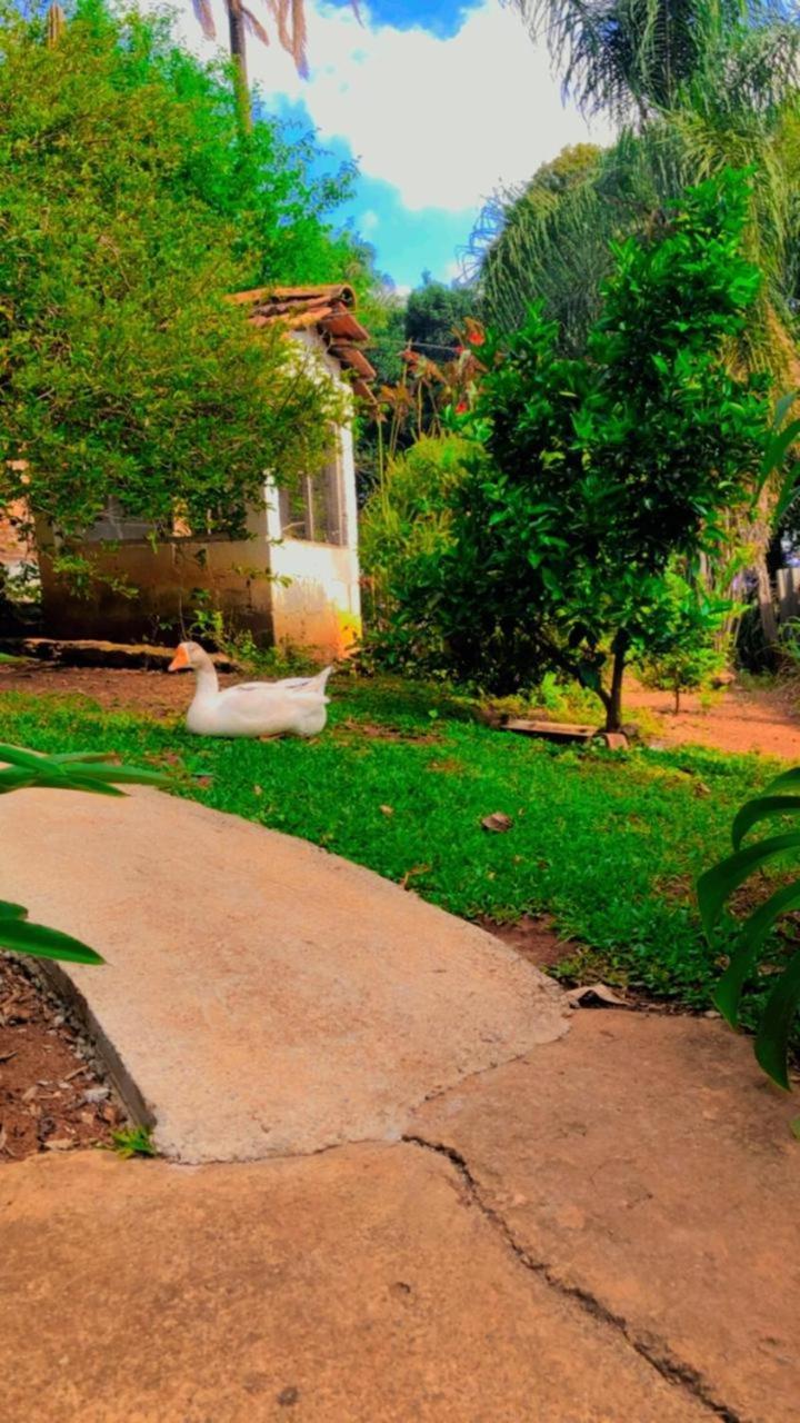 Holiday home Luma - Casa De *