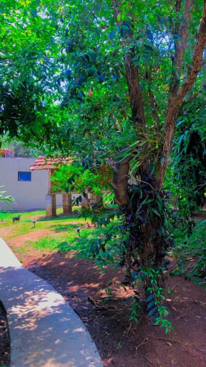 Holiday home Luma - Casa De *