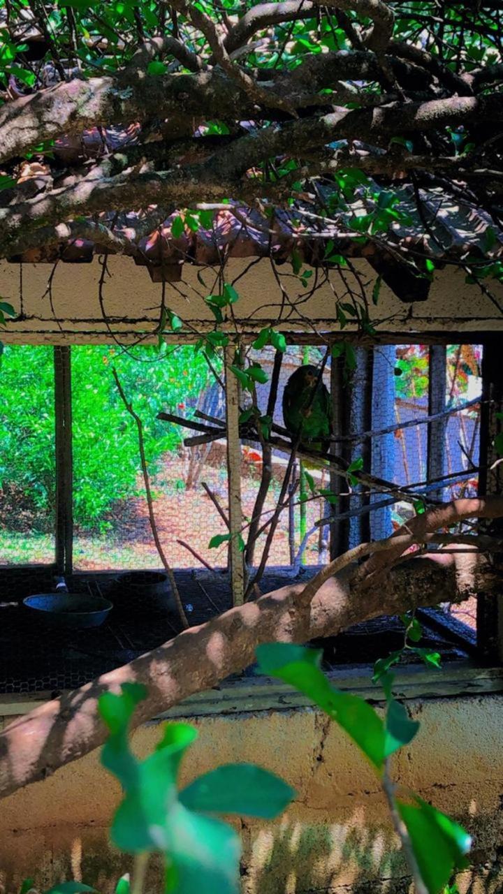 Holiday home Luma - Casa De *